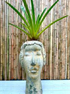 Lime Splash Private pool