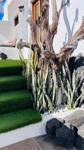 Refugio de Luz y Tranquilidad en Nazaret