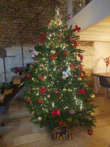 B&B Maas en Heuvel Maastricht