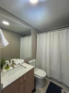 Dpto por dia Chillán 909