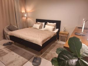 Luxhousing city hostel