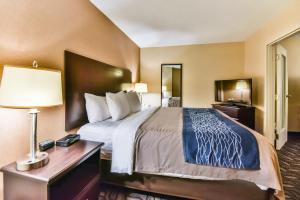 Comfort Inn & Suites Ambassador Bridge