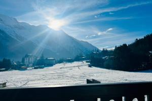 Small Family Apartment Mont Blanc View