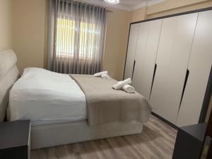 Tirana Daily Stay