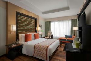 The Fern, Jaipur, Series by Marriott