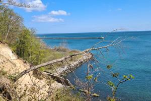 NEU "Rügen Resørt Sagard" großzügige, gemütliche Doppelhaushälfte "Peer" mit Terrasse