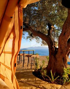 Cimarte The Path Lukove