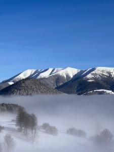 Luxury Apartments Panorama