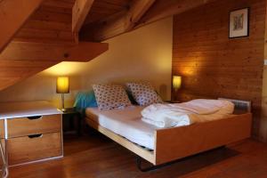 Chalet Telemark 2 Les Gets - by PAJ