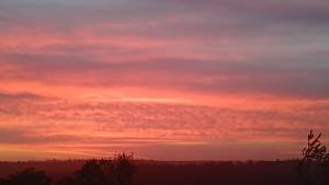 Wilderness Phoenix Rising