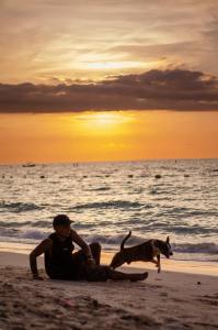 Brisas del Mar Barú