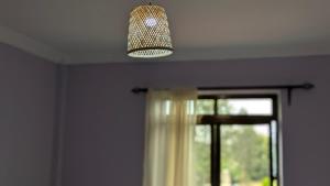 Kilimanjaro Helichrysum Homes