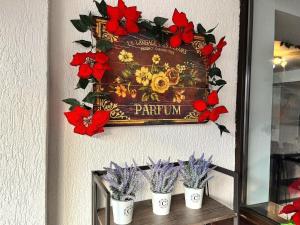 Sofias Dream Retreat - Terrace and Fireplace