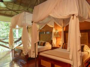 Refugio Amazonas Lodge