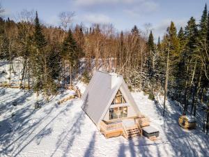 Canadian Classic - Spa - Sauna - Fire - Forest