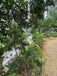 Parathanathu Homestay