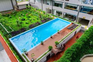 Luxe Haven Apartments