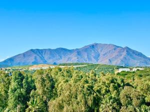 Sunrise Hill Penthouse in Casares