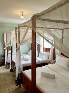 Patamu Lodge & Safaris
