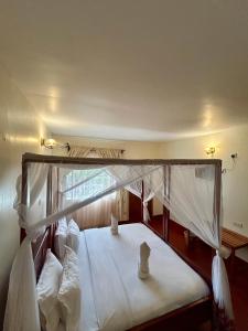Patamu Lodge & Safaris