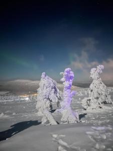 Levi center, cozy and convenient apartment with sauna