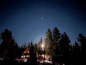 Brand New Cabin with Fire Pit & Outdoor Projector