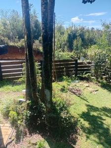 Cabaña melinka y Cabaña Grande