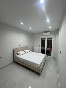 Urban Comfort Apartment