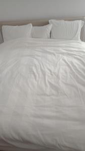 ultra central parc cismigiu