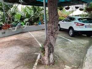 Tabua Village Madeira