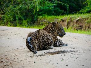 New Cormorant Lake Resort & Yala Safari Place