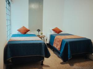 Central Hostel Zona 4