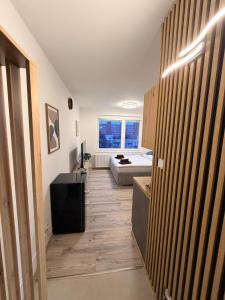 SkyView Studio Vlčince with private parking