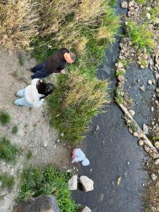 House by the Śliwno-Waniewo footbridge, close to the park