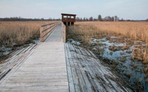 House by the Śliwno-Waniewo footbridge, close to the park