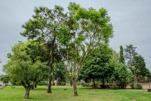 Casa quinta Cerrito Colorado