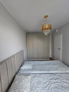 Motława Apart D&M z OGRODEM