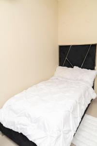 La Isla Royal - Materia Oscura