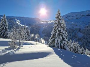 Appartement spacieux au pied des pistes avec balcon et WIFI - FR-1-425-212