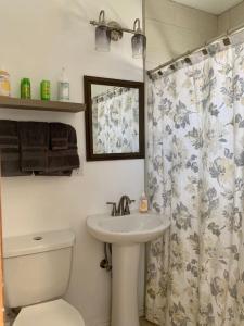 Studio with queen bed, pets ok, 3 min to Farmers mkt