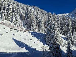 Appartement confortable proche des pistes avec casier à ski - FR-1-425-153