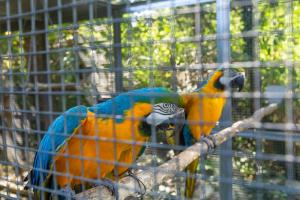 Apartments Cetri Hrasta