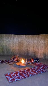 Stars camp