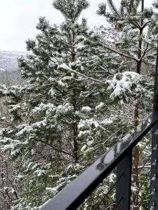 BarnHouse "Family Estate"