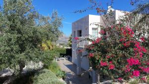 Giardino degli Allori, Villa Manfredi with Pool