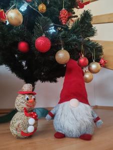 Apartmán EveRest Donovaly