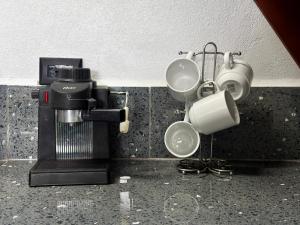 Cozy Studio with private tropical forest