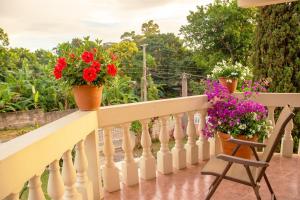 Holistic Wealth Retreat on the Holistic Wealth Trail