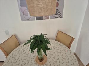 Apto completo na praia