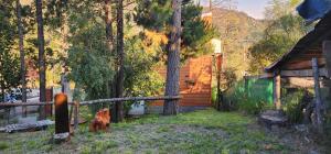 Casa entera con balcón y patio propio "altos del Rio Azul"